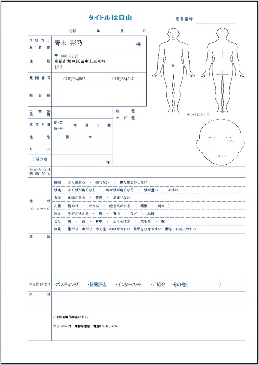 問診票など