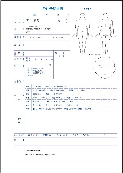問診票など