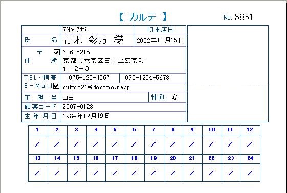 カルテフォーム各種