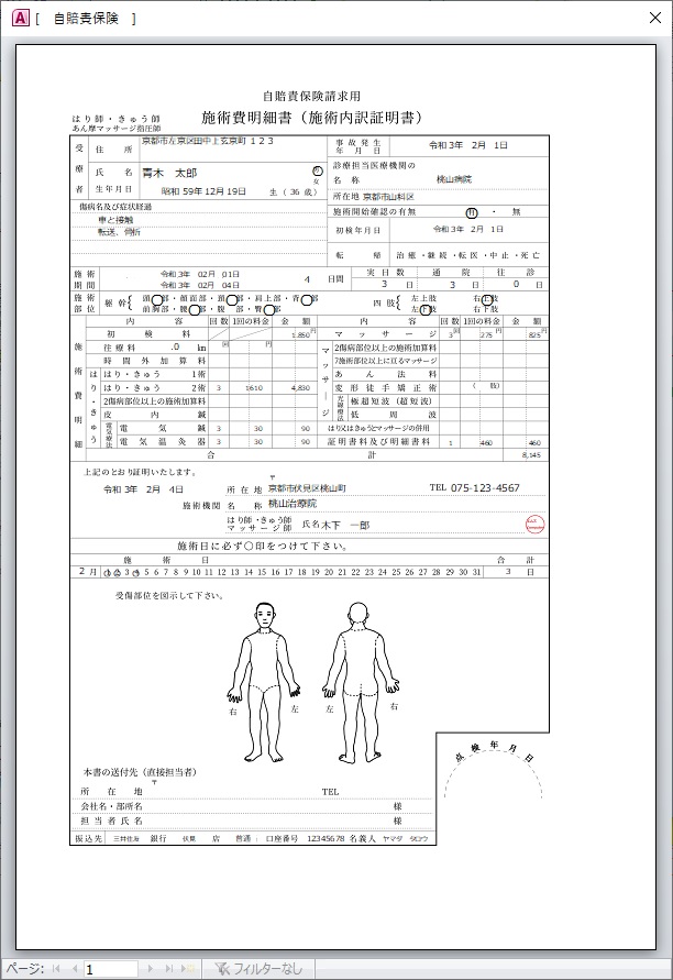 自賠責保険(タイプ2)